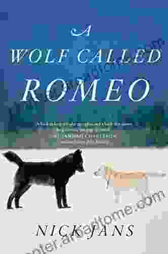 A Wolf Called Romeo Nick Jans